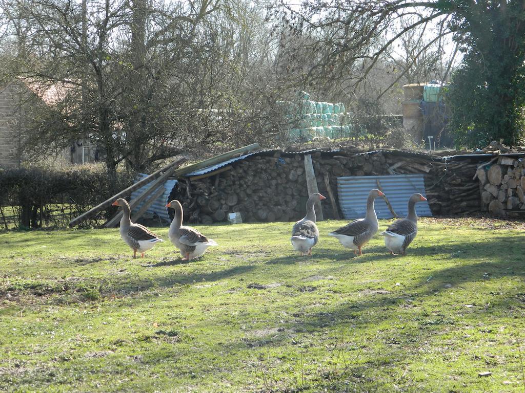 Meubles De Tourisme La Reserve Saint-Pierre-les-Bois Εξωτερικό φωτογραφία