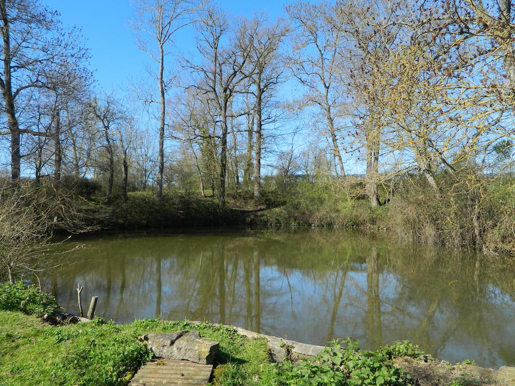 Meubles De Tourisme La Reserve Saint-Pierre-les-Bois Εξωτερικό φωτογραφία